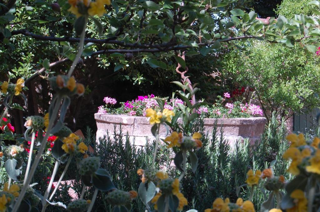Il Giardino Segreto Hotell Pienza Exteriör bild